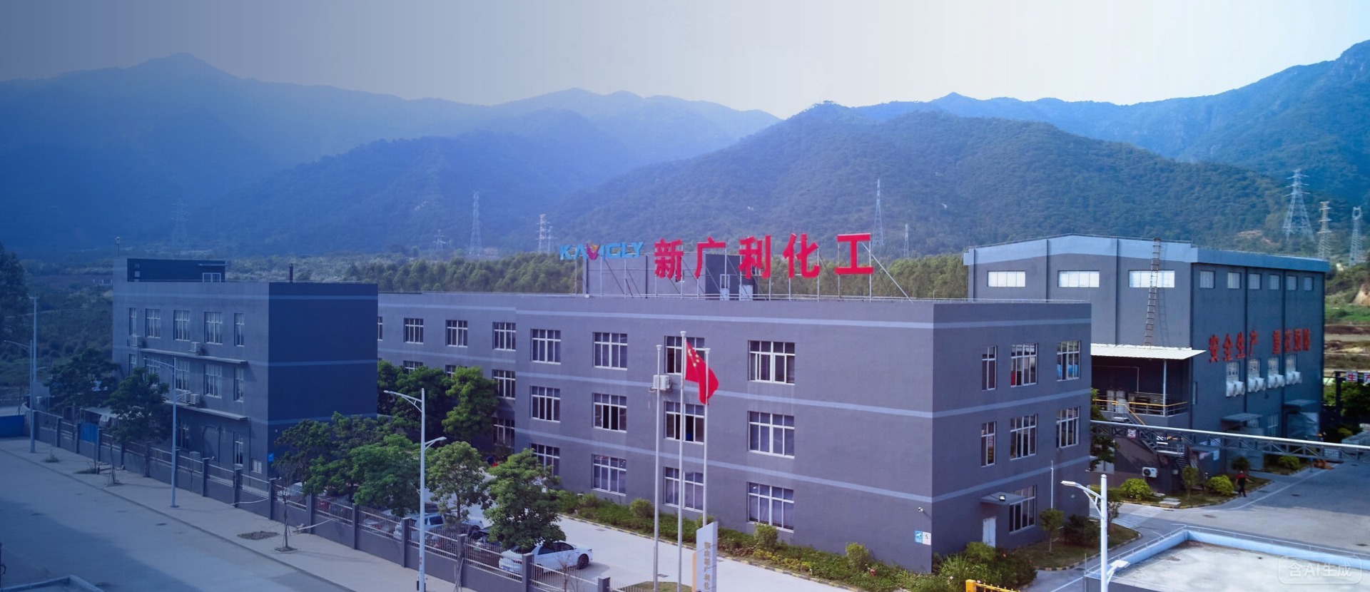 COMPANY IMAGE